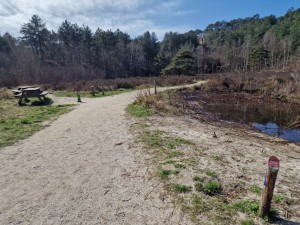 
                            <b>Wandelpad langs een vijver met een houten picknicktafel aan de zijkant.</b><br>
                                                        <b>ISO:</b> 50 | <b>Sluitertijd:</b> 1/1776 | <b>Diafragma:</b> f/1.8 | <b>Datum:</b> 2025-03-30

                        