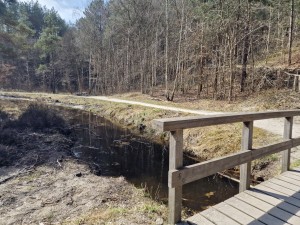 
                            <b>Houten brug over beek met bosrijke achtergrond.</b><br>
                                                        <b>ISO:</b> 50 | <b>Sluitertijd:</b> 1/452 | <b>Diafragma:</b> f/1.8 | <b>Datum:</b> 2025-03-30

                        