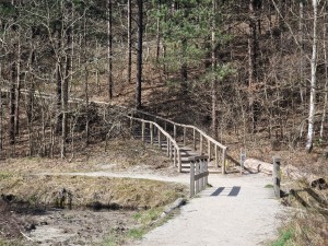 
                            <b>Houten brug over pad in bos met kale en groene bomen.</b><br>
                                                        <b>ISO:</b> 50 | <b>Sluitertijd:</b> 1/1232 | <b>Diafragma:</b> f/2.4 | <b>Datum:</b> 2025-03-30

                        