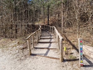 
                            <b>Houten trap met leuning, leidt naar bospad, kleurrijk bewegwijzeringsbord aanwezig.</b><br>
                                                        <b>ISO:</b> 50 | <b>Sluitertijd:</b> 1/5181 | <b>Diafragma:</b> f/1.8 | <b>Datum:</b> 2025-03-30

                        