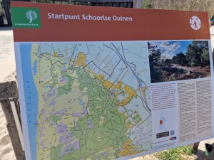 
                            <b>Informatiebord met wandel- en fietsroutes in Schoorlse Duinen, Staatsbosbeheer.</b><br>
                                                        <b>ISO:</b> 50 | <b>Sluitertijd:</b> 1/4484 | <b>Diafragma:</b> f/1.8 | <b>Datum:</b> 2025-03-30

                        