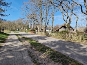 
                            <b>Landelijk weggetje met bomen, houten huizen en een hek langs de weg.</b><br>
                                                        <b>ISO:</b> 50 | <b>Sluitertijd:</b> 1/6623 | <b>Diafragma:</b> f/1.8 | <b>Datum:</b> 2025-03-30

                        