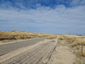 
                            <b>Geasfalteerd pad slingert door duinen met houten afscheiding en zand.</b><br>
                                                        <b>ISO:</b> 50 | <b>Sluitertijd:</b> 1/2288 | <b>Diafragma:</b> f/1.8 | <b>Datum:</b> 2025-03-30

                        