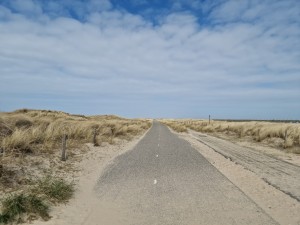 
                            <b>Geasfalteerd pad door zandduinen met blauwe lucht en wolken.</b><br>
                                                        <b>ISO:</b> 50 | <b>Sluitertijd:</b> 1/18519 | <b>Diafragma:</b> f/1.8 | <b>Datum:</b> 2025-03-30

                        