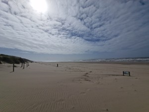 
                            <b>Uitgestrekt zandstrand met een bewolkte hemel en een rustige zee.</b><br>
                                                        <b>ISO:</b> 50 | <b>Sluitertijd:</b> 1/16393 | <b>Diafragma:</b> f/2.2 | <b>Datum:</b> 2025-03-30

                        