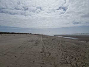 
                            <b>Uitgestrekt zandstrand met zichtbare lucht en wolken boven de zee.</b><br>
                                                        <b>ISO:</b> 50 | <b>Sluitertijd:</b> 1/18519 | <b>Diafragma:</b> f/1.8 | <b>Datum:</b> 2025-03-30

                        