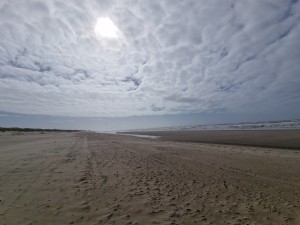 
                            <b>Uitgestrekt strand met wolkenlucht en een helder, laagstaande zon.</b><br>
                                                        <b>ISO:</b> 50 | <b>Sluitertijd:</b> 1/14286 | <b>Diafragma:</b> f/2.2 | <b>Datum:</b> 2025-03-30

                        