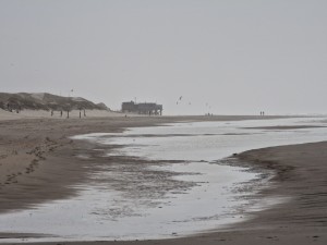 
                            <b>Uitgestrekt strand met mensen, paviljoen en vliegers in de verte.</b><br>
                                                        <b>ISO:</b> 50 | <b>Sluitertijd:</b> 1/2469 | <b>Diafragma:</b> f/4.9 | <b>Datum:</b> 2025-03-30

                        