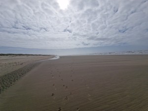 
                            <b>Voetstappen leiden naar de horizon op leeg, wijds strand.</b><br>
                                                        <b>ISO:</b> 50 | <b>Sluitertijd:</b> 1/12048 | <b>Diafragma:</b> f/2.2 | <b>Datum:</b> 2025-03-30

                        