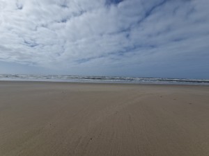 
                            <b>Uitgestrekt zandstrand met golvende zee onder bewolkte lucht.</b><br>
                                                        <b>ISO:</b> 50 | <b>Sluitertijd:</b> 1/5780 | <b>Diafragma:</b> f/2.2 | <b>Datum:</b> 2025-03-30

                        