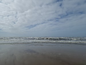 
                            <b>Golfen breken op het strand onder een bewolkte hemel.</b><br>
                                                        <b>ISO:</b> 50 | <b>Sluitertijd:</b> 1/18519 | <b>Diafragma:</b> f/1.8 | <b>Datum:</b> 2025-03-30

                        