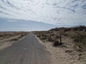 
                            <b>Fietspad door zandduinen, met gras begroeide randen.</b><br>
                                                        <b>ISO:</b> 50 | <b>Sluitertijd:</b> 1/18519 | <b>Diafragma:</b> f/1.8 | <b>Datum:</b> 2025-03-30

                        