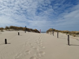 
                            <b>Zandpad tussen duinen met voetstappen en een blauwe lucht erboven.</b><br>
                                                        <b>ISO:</b> 50 | <b>Sluitertijd:</b> 1/18519 | <b>Diafragma:</b> f/1.8 | <b>Datum:</b> 2025-03-30

                        