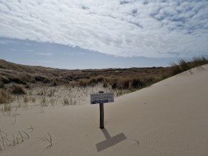 
                            <b>Waarschuwingsbord op zandduin in natuurgebied met gras en struiken.</b><br>
                                                        <b>ISO:</b> 50 | <b>Sluitertijd:</b> 1/18519 | <b>Diafragma:</b> f/1.8 | <b>Datum:</b> 2025-03-30

                        