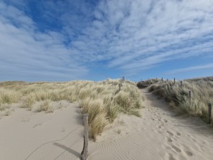 
                            <b>Zandpad door duinen met gras en blauwe lucht erboven.</b><br>
                                                        <b>ISO:</b> 50 | <b>Sluitertijd:</b> 1/4484 | <b>Diafragma:</b> f/2.2 | <b>Datum:</b> 2025-03-30

                        
