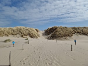 
                            <b>Zandpad leidt tussen hoge duinen; sporen verraden menselijke aanwezigheid.</b><br>
                                                        <b>ISO:</b> 50 | <b>Sluitertijd:</b> 1/18519 | <b>Diafragma:</b> f/1.8 | <b>Datum:</b> 2025-03-30

                        