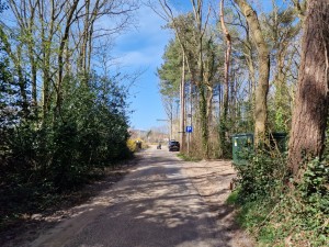 
                            <b>Pad in bos met zicht op geparkeerde auto en wandelaar.</b><br>
                                                        <b>ISO:</b> 50 | <b>Sluitertijd:</b> 1/4386 | <b>Diafragma:</b> f/1.8 | <b>Datum:</b> 2025-03-30

                        