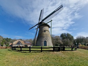 
                            <b>Oude windmolen met rieten dak, omgeven door houten hek.</b><br>
                                                        <b>ISO:</b> 50 | <b>Sluitertijd:</b> 1/3571 | <b>Diafragma:</b> f/2.2 | <b>Datum:</b> 2025-03-30

                        