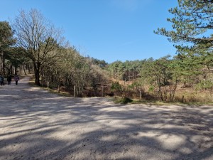 
                            <b>Boswandeling met meerdere personen op een zandpad tussen de bomen.</b><br>
                                                        <b>ISO:</b> 50 | <b>Sluitertijd:</b> 1/5587 | <b>Diafragma:</b> f/1.8 | <b>Datum:</b> 2025-03-30

                        