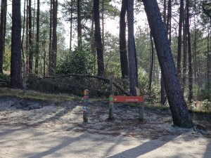 
                            <b>Klimduin pad met bewegwijzering door het bos.</b><br>
                                                        <b>ISO:</b> 50 | <b>Sluitertijd:</b> 1/1218 | <b>Diafragma:</b> f/2.4 | <b>Datum:</b> 2025-03-30

                        