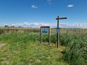 
                            <b>Informatiebord langs wandelpad van Tetjehorn omgeven door hoge grassoorten.</b><br>
                                                        <b>ISO:</b> 50 | <b>Sluitertijd:</b> 1/15873 | <b>Diafragma:</b> f/1.8 | <b>Datum:</b> 2025-05-18

                        