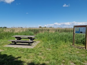 
                            <b>Picknicktafel naast een informatiebord in een natuurgebied.</b><br>
                                                        <b>ISO:</b> 50 | <b>Sluitertijd:</b> 1/15873 | <b>Diafragma:</b> f/1.8 | <b>Datum:</b> 2025-05-18

                        