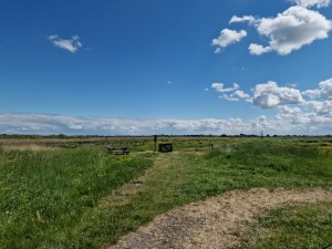 
                            <b>Pad in groene weide met bankje en uitzicht over natuurgebied.</b><br>
                                                        <b>ISO:</b> 50 | <b>Sluitertijd:</b> 1/18519 | <b>Diafragma:</b> f/1.8 | <b>Datum:</b> 2025-05-18

                        