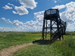 
                            <b>Houten uitkijktoren op grasveld met wolken aan blauwe hemel.</b><br>
                                                        <b>ISO:</b> 50 | <b>Sluitertijd:</b> 1/18519 | <b>Diafragma:</b> f/1.8 | <b>Datum:</b> 2025-05-18

                        