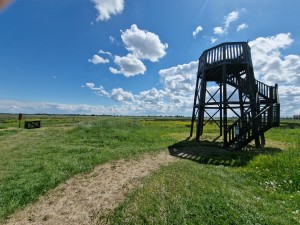 
                            <b>Houten uitkijktoren op grasveld met uitgestrekt uitzicht over weilanden.</b><br>
                                                        <b>ISO:</b> 50 | <b>Sluitertijd:</b> 1/5291 | <b>Diafragma:</b> f/2.2 | <b>Datum:</b> 2025-05-18

                        