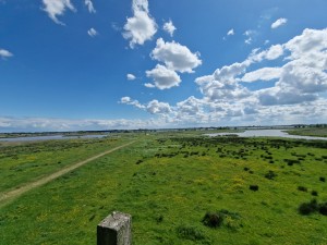 
                            <b>Uitgestrekt groen landschap met water, bloemen en blauwe lucht.</b><br>
                                                        <b>ISO:</b> 50 | <b>Sluitertijd:</b> 1/5714 | <b>Diafragma:</b> f/2.2 | <b>Datum:</b> 2025-05-18

                        