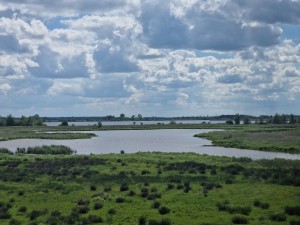 
                            <b>Uitzicht op een uitgestrekt meer met omliggende groene natuur.</b><br>
                                                        <b>ISO:</b> 50 | <b>Sluitertijd:</b> 1/7813 | <b>Diafragma:</b> f/2.4 | <b>Datum:</b> 2025-05-18

                        