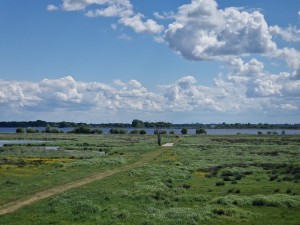 
                            <b>Uitgestrekt groen landschap met water en blauwe lucht met wolken.</b><br>
                                                        <b>ISO:</b> 50 | <b>Sluitertijd:</b> 1/5988 | <b>Diafragma:</b> f/2.4 | <b>Datum:</b> 2025-05-18

                        