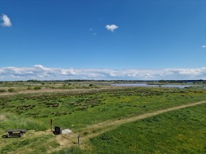 
                            <b>Groen natuurgebied met wandelpad en uitgestrekt uitzicht over het landschap.</b><br>
                                                        <b>ISO:</b> 50 | <b>Sluitertijd:</b> 1/17544 | <b>Diafragma:</b> f/1.8 | <b>Datum:</b> 2025-05-18

                        