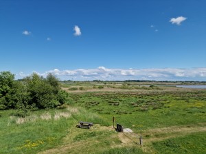 
                            <b>Uitgestrekt landschap met grasvelden, struiken en een picknicktafel.</b><br>
                                                        <b>ISO:</b> 50 | <b>Sluitertijd:</b> 1/17544 | <b>Diafragma:</b> f/1.8 | <b>Datum:</b> 2025-05-18

                        
