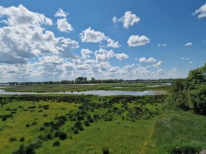 
                            <b>Uitzicht op groene velden met plassen en wolkenlucht.</b><br>
                                                        <b>ISO:</b> 50 | <b>Sluitertijd:</b> 1/18519 | <b>Diafragma:</b> f/1.8 | <b>Datum:</b> 2025-05-18

                        