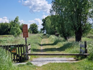 
                            <b>Grasweg met houten hek en informatiebord langs het pad.</b><br>
                                                        <b>ISO:</b> 50 | <b>Sluitertijd:</b> 1/2865 | <b>Diafragma:</b> f/2.4 | <b>Datum:</b> 2025-05-18

                        
