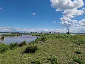 
                            <b>Weids landschap met water, gras en enkele wolken.</b><br>
                                                        <b>ISO:</b> 50 | <b>Sluitertijd:</b> 1/18519 | <b>Diafragma:</b> f/1.8 | <b>Datum:</b> 2025-05-18

                        