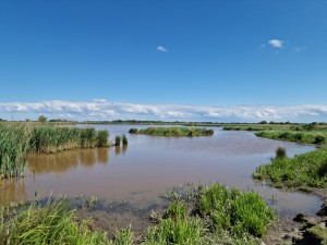 
                            <b>Uitgestrekt moerasgebied met waterplassen en rietkragen</b><br>
                                                        <b>ISO:</b> 50 | <b>Sluitertijd:</b> 1/15625 | <b>Diafragma:</b> f/1.8 | <b>Datum:</b> 2025-05-18

                        