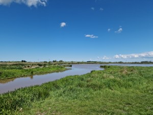 
                            <b>Rivierlandschap met gras en blauwe lucht, weids en rustgevend uitzicht.</b><br>
                                                        <b>ISO:</b> 50 | <b>Sluitertijd:</b> 1/16393 | <b>Diafragma:</b> f/1.8 | <b>Datum:</b> 2025-05-18

                        