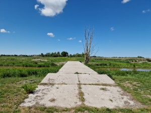
                            <b>Betonpad leidt naar kale boom in grasland, blauwe lucht boven.</b><br>
                                                        <b>ISO:</b> 50 | <b>Sluitertijd:</b> 1/17544 | <b>Diafragma:</b> f/1.8 | <b>Datum:</b> 2025-05-18

                        