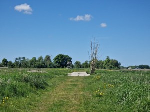 
                            <b>Verlaten pad met gras, bloemen en een kale boom.</b><br>
                                                        <b>ISO:</b> 50 | <b>Sluitertijd:</b> 1/4032 | <b>Diafragma:</b> f/2.4 | <b>Datum:</b> 2025-05-18

                        