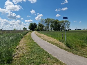 
                            <b>Verhard fietspad kronkelt door groen veld met bomen in de verte.</b><br>
                                                        <b>ISO:</b> 50 | <b>Sluitertijd:</b> 1/18182 | <b>Diafragma:</b> f/1.8 | <b>Datum:</b> 2025-05-18

                        