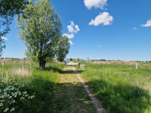 
                            <b>Graspad tussen bomen en hek, met weids uitzicht op het platteland.</b><br>
                                                        <b>ISO:</b> 50 | <b>Sluitertijd:</b> 1/10417 | <b>Diafragma:</b> f/1.8 | <b>Datum:</b> 2025-05-18

                        