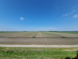 
                            <b>Uitgestrekt akkerland met rechte, parallelle lijnen van beplanting.</b><br>
                                                        <b>ISO:</b> 50 | <b>Sluitertijd:</b> 1/2976 | <b>Diafragma:</b> f/2.2 | <b>Datum:</b> 2025-05-17

                        