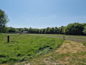 
                            <b>Groot grasveld met bosrand en gebouw in de verte zichtbaar.</b><br>
                                                        <b>ISO:</b> 50 | <b>Sluitertijd:</b> 1/18519 | <b>Diafragma:</b> f/1.8 | <b>Datum:</b> 2025-05-17

                        
