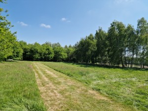 
                            <b>Grasveld met smal gemaaid pad tussen groene bomen en struiken.</b><br>
                                                        <b>ISO:</b> 50 | <b>Sluitertijd:</b> 1/10870 | <b>Diafragma:</b> f/1.8 | <b>Datum:</b> 2025-05-17

                        
