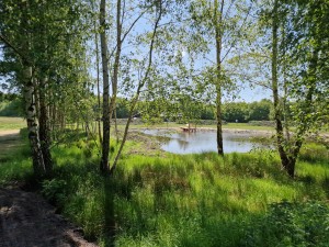 
                            <b>Water met steiger, omringd door groene bomen en gras.</b><br>
                                                        <b>ISO:</b> 50 | <b>Sluitertijd:</b> 1/926 | <b>Diafragma:</b> f/1.8 | <b>Datum:</b> 2025-05-17

                        