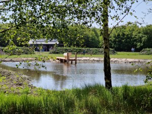 
                            <b>Water met steiger, omringd door groene bomen en gras.</b><br>
                                                        <b>ISO:</b> 50 | <b>Sluitertijd:</b> 1/2169 | <b>Diafragma:</b> f/2.4 | <b>Datum:</b> 2025-05-17

                        