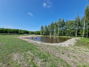 
                            <b>Natuurlijke vijver met houten steiger en omliggende bomen.</b><br>
                                                        <b>ISO:</b> 50 | <b>Sluitertijd:</b> 1/2404 | <b>Diafragma:</b> f/2.2 | <b>Datum:</b> 2025-05-17

                        