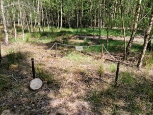 
                            <b>Afgebakend urngraf met bordjes en touwen, omgeven door bomen.</b><br>
                                                        <b>ISO:</b> 50 | <b>Sluitertijd:</b> 1/361 | <b>Diafragma:</b> f/1.8 | <b>Datum:</b> 2025-05-17

                        